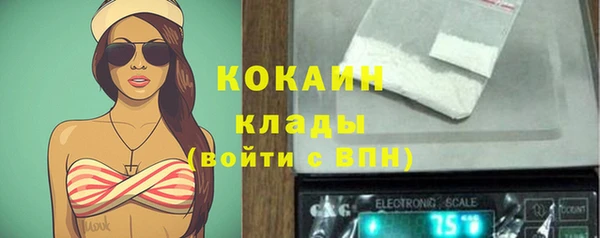бошки Гусев