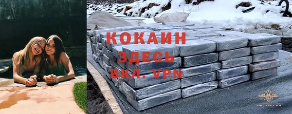 бошки Гусев