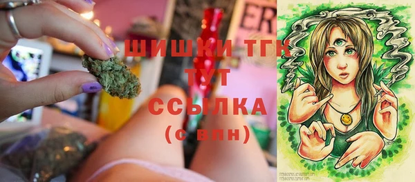 гидропоника Горняк