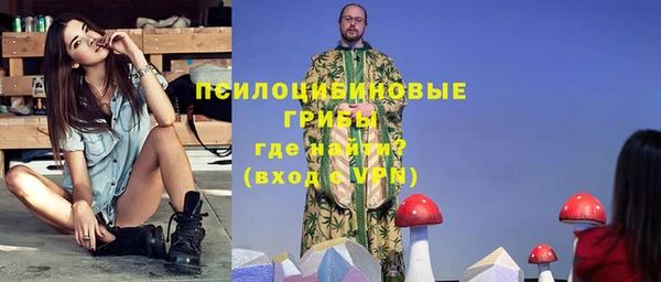 бошки Гусев
