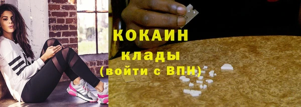 гидропоника Горняк