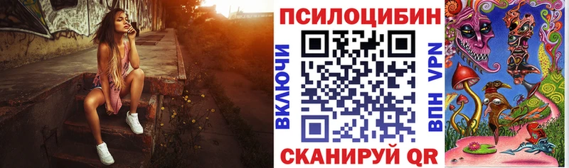 где купить наркоту  Майкоп  Галлюциногенные грибы прущие грибы 