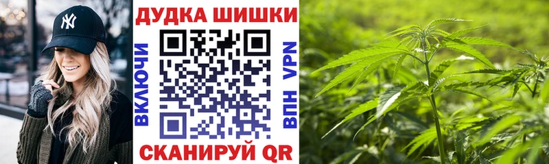 Конопля гибрид  omg ONION  Майкоп 